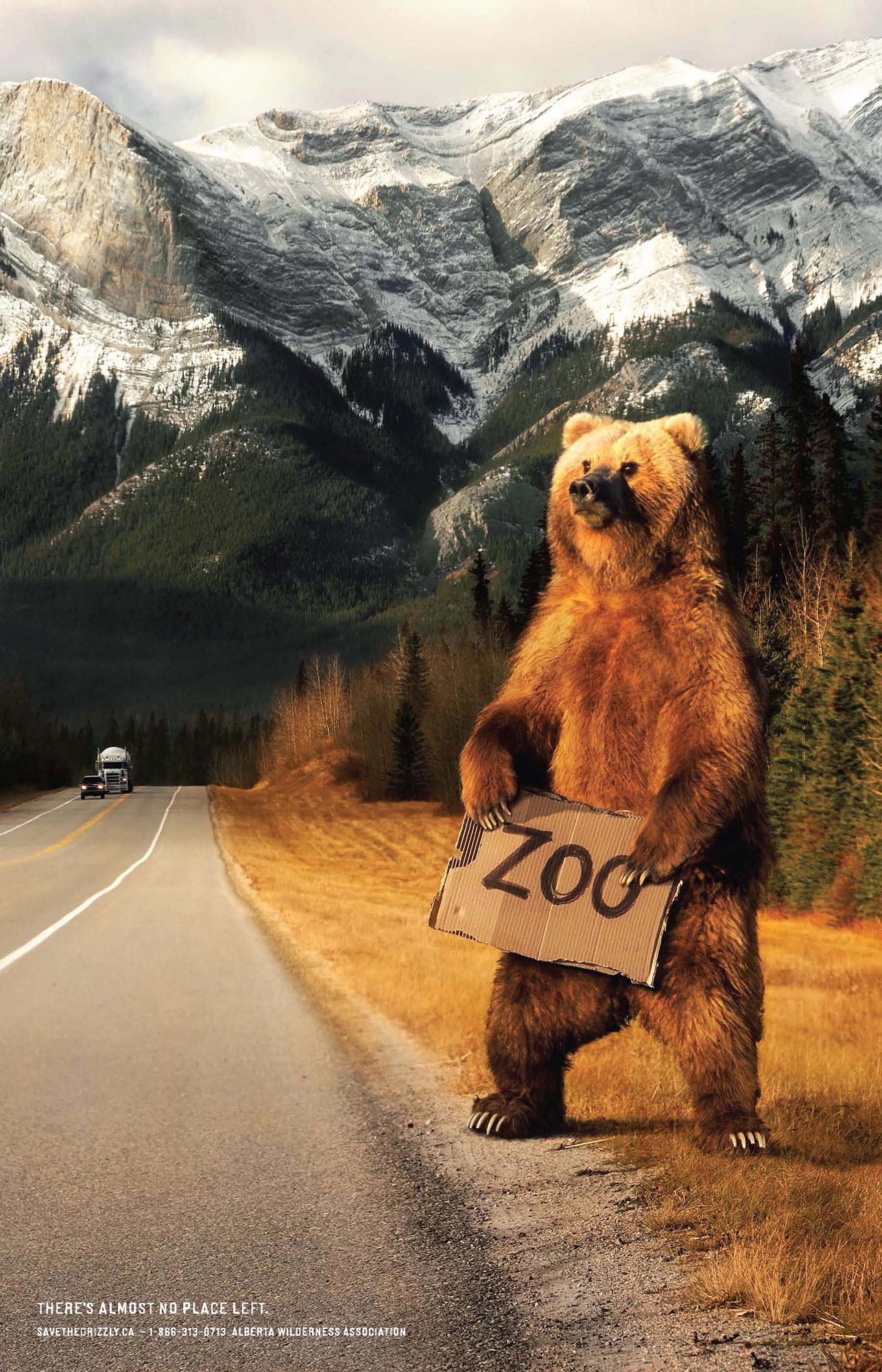 Pages-from-griz_ZOO_poster_18x28